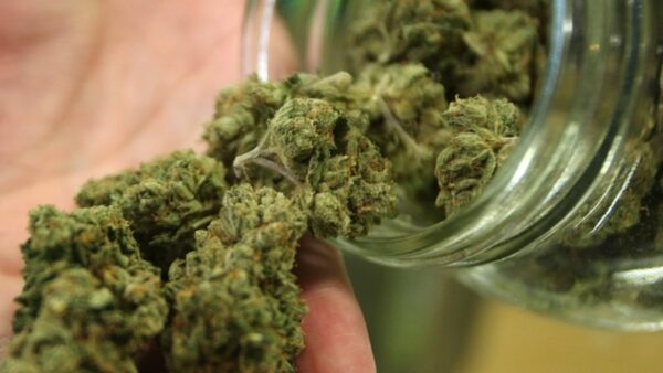 “Your Step-by-Step Guide to Buying Weed in Canada”